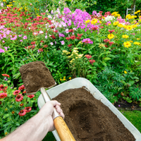 Peat Free & Organic Compost